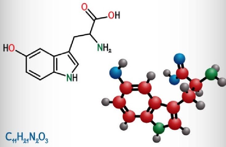 5-HTP Yu Sleep's ingredient